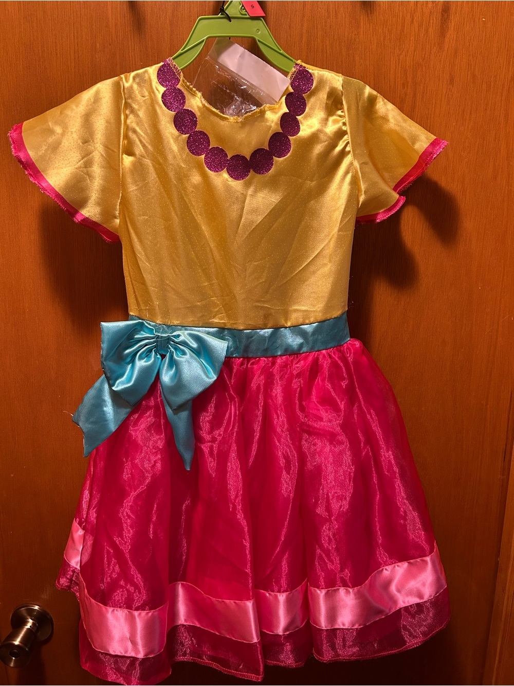 Fancy Nancy Dress Up Costume